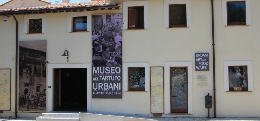 Museo del Tartufo2